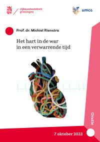 cover page inaugural lecture Michiel Rienstra